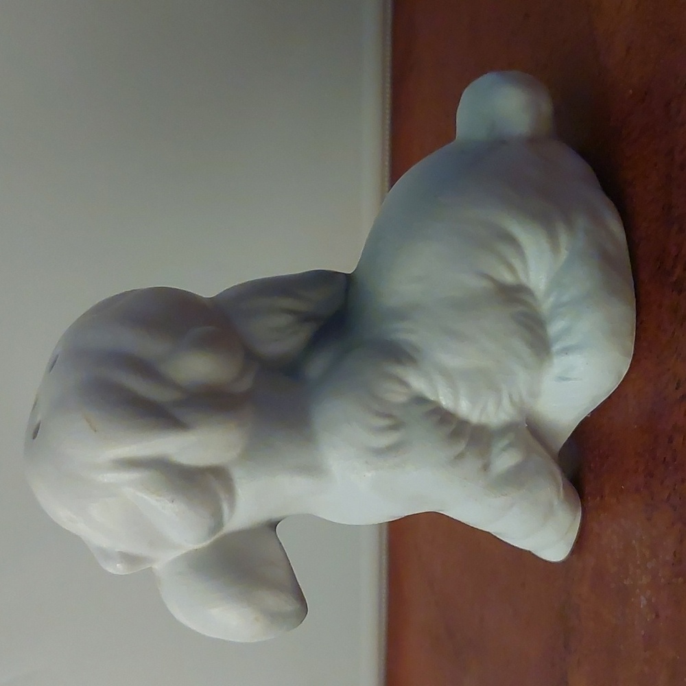 Poodle Salt & Pepper - Picture 9 of 13